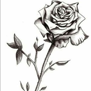 Meet your Posher, Briyana